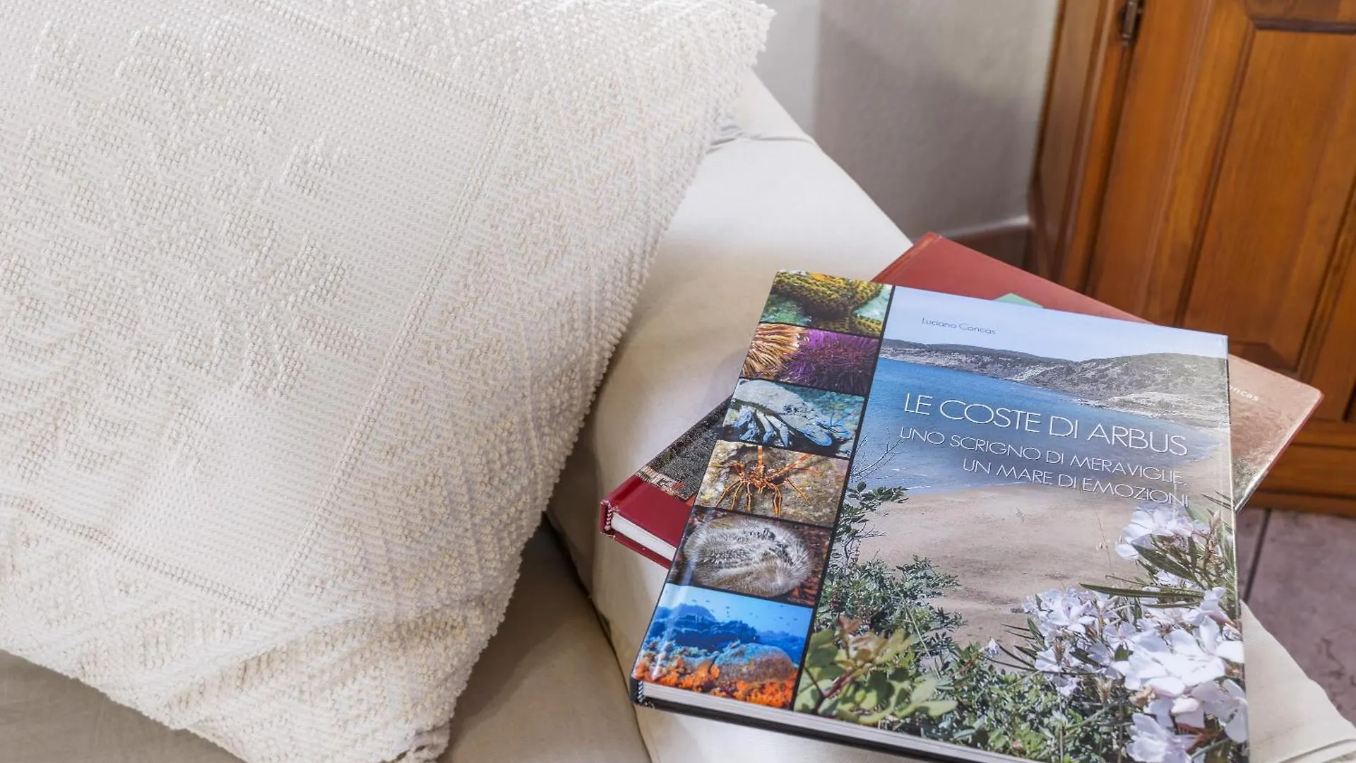 Su Niu De Arbus Villa Holiday home